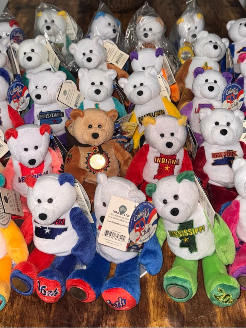 Limited treasures state quarter coin bears (31/50)